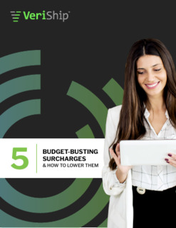 Ebook: 5 Budget-Busting Surcharges and How to Lower Them
