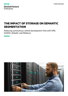 The Impact of Storage on Semantic Segmentation