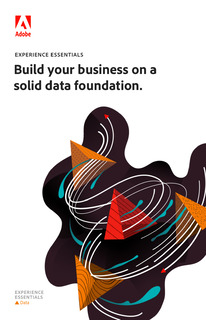 Build your business on a solid data foundation