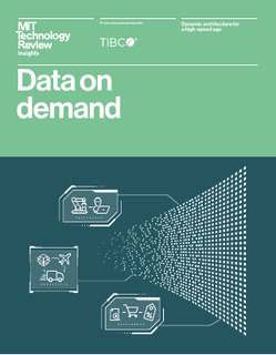 Data on Demand: Dynamic Architecture for a High-speed Age