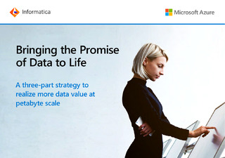 Bringing the Promise of Data to Life