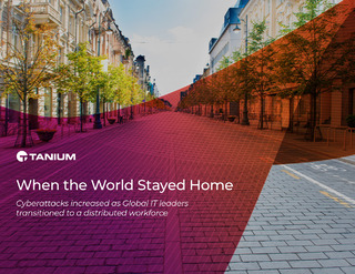 Research Report: When the World Stayed Home