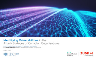 Identifying Vulnerabilities in the Attack Surfaces of Canadian Organizations