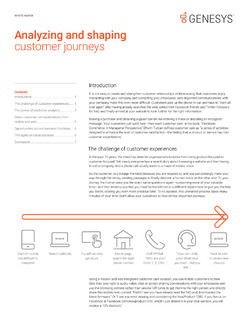 Altocloud White Paper: Analyzing and Shaping Customer Journeys