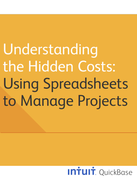Understanding the Hidden Costs:  Using Spreadsheets to Manage Projects