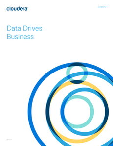 Data Drives Business