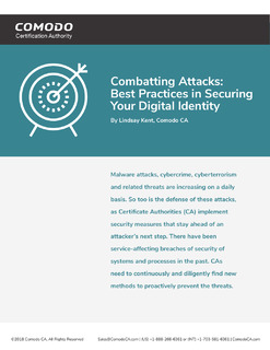 Combatting Attacks: Best Practices in Securing Your Digital Identity