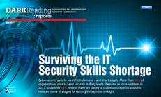 Surviving the IT Security Skills Shortage