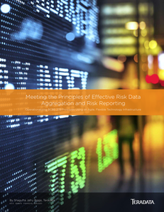 Meeting the Principles of Effective Risk Data Aggregation and Risk Reporting