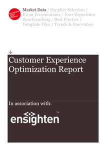 Econsultancy Report: Customer Experience Optimization