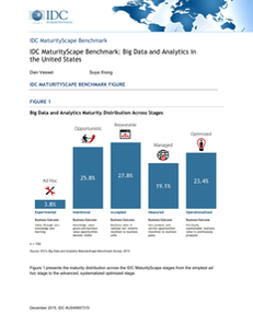 IDC MaturityScape Benchmark: Big Data and Analytics in the United States