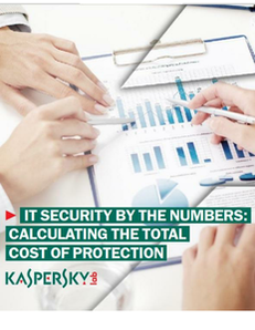 IT Security by the Numbers:  Calculating the Total Cost of Protection