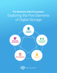The Business Data Ecosystem:  Exploring the Five Elements of Digital Storage