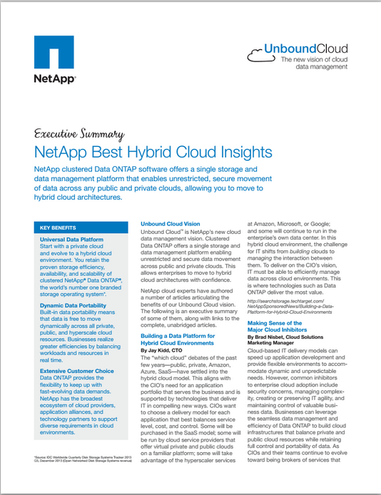 NetApp Best Hybrid Cloud Insights