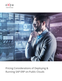 Pricing Considerations of Deploying & Running SAP ERP on Public Clouds