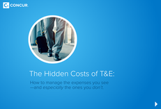 The Hidden Costs of T&E
