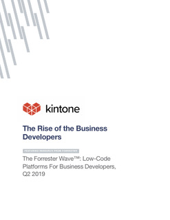The Forrester New Wave™: Low-Code Platforms For Business Developers, Q2 2019