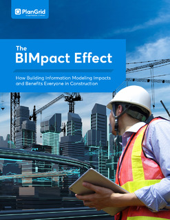 The BIMpact Effect
