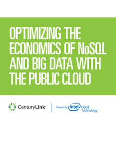 Optimizing Economics of NoSQL and Big Data in the Public Cloud