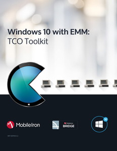 Windows 10 with EMM: TCO Toolkit