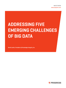 Addressing Five Emerging Challenges of Big Data