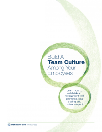 Build a Team Culture Among Your Employees