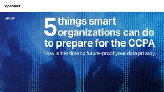 5 Things Smart Organizations can do to Prepare for the CCPA.