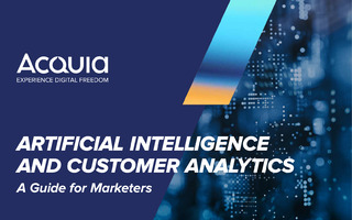 AI and Customer Analytics