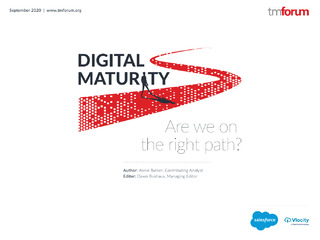Digital Maturity: Are We On the Right Path