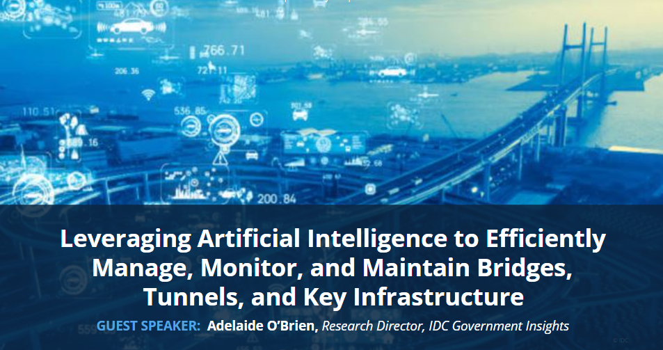 Leveraging Artificial Intelligence to Efficiently Manage and Monitor Bridges
