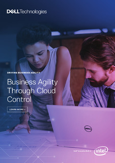 Business Agility Through Cloud Control
