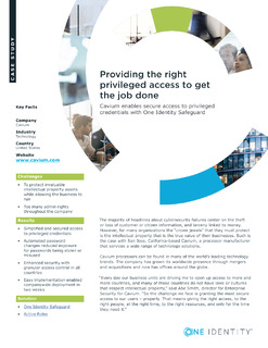 Providing the Right Privileged Access to Get the Job Done