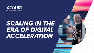 Scaling in the Era of Digital Acceleration