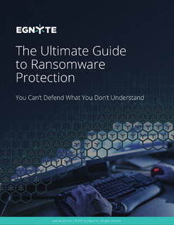 The Ultimate Guide to Ransomware Protection