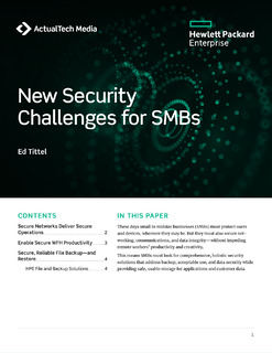 New Security Challenges for SMBs