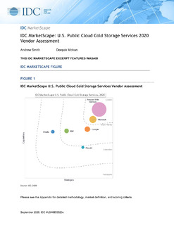 IDC MarketScape: U.S. Public Cloud Cold Storage Services 2020 Vendor Assessment