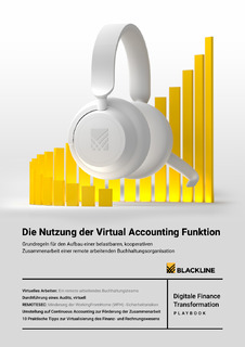 Die Nutzung der Virtual Accounting Funktion