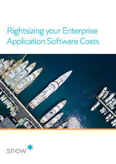 A perspective on rightsizing your enterprise application software costs
