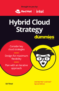Hybrid Cloud Strategy for Dummies