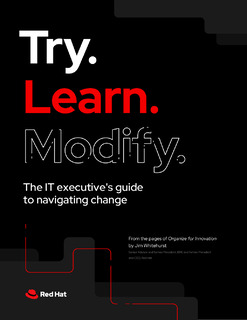 Try, Learn, Modify: The IT Executive’s Guide to Navigating Change