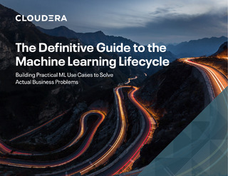 The Definitive Guide to the Machine Learning Lifecycle