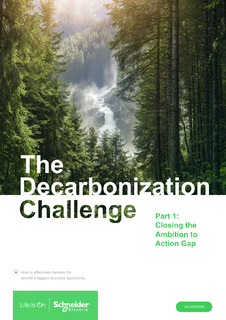 The Decarbonization Challenge