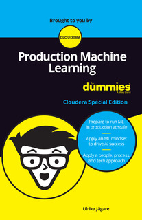 Production Machine Learning For Dummies