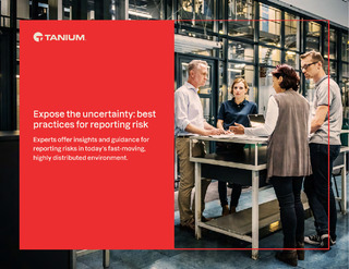 Expose the uncertainty: best practices for reporting risk