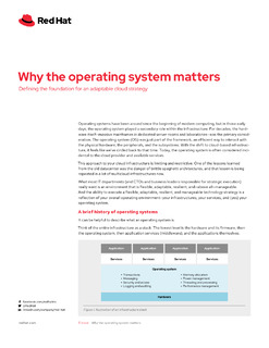 Why the Operating System Matters