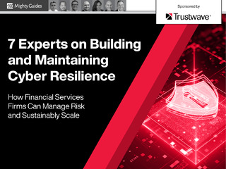 7 Experts on Building and Maintaining Cyber Resilience
