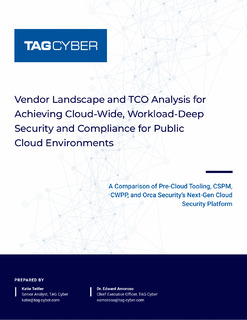 Vendor Landscape and TCO Analysis for Achieving Cloud-Wide, Workload-Deep Security and Compliance for Public Cloud Environments