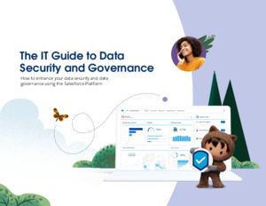 The IT Guide to Data Security and Governance