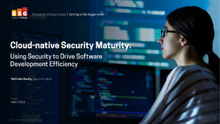 Cloud-native Security Maturity: Using Security to Drive Software Development Efficiency