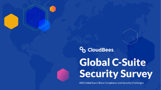 Global C-Suite Security Survey